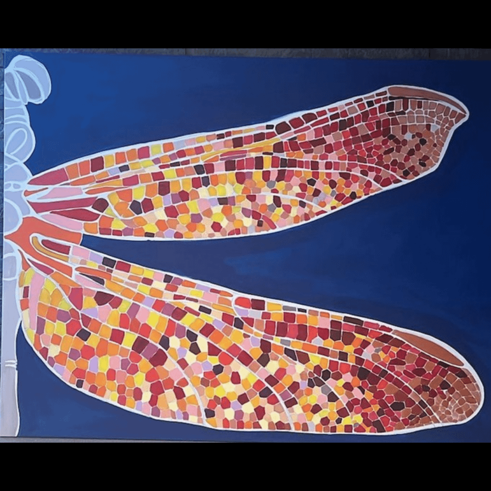 Entomology Collection